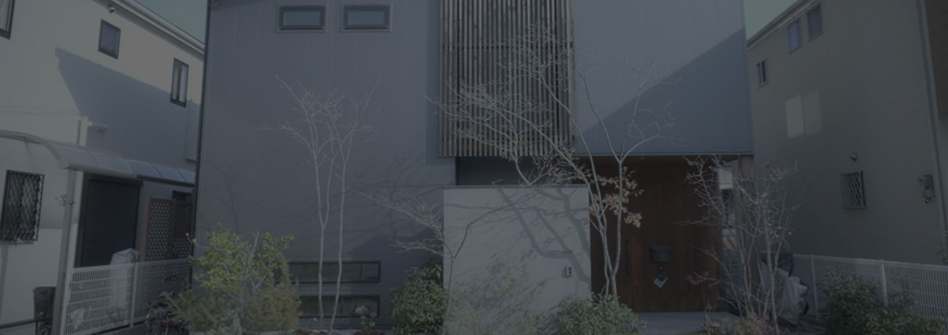 動画ギャラリー